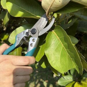 Gardening Tools